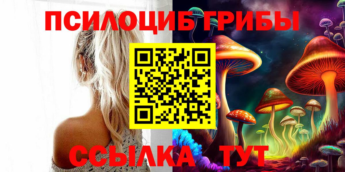 закладка  Вход с VPN  Саров  Галлюциногенные грибы Cubensis  Галлюциногенные грибы Psilocybe 